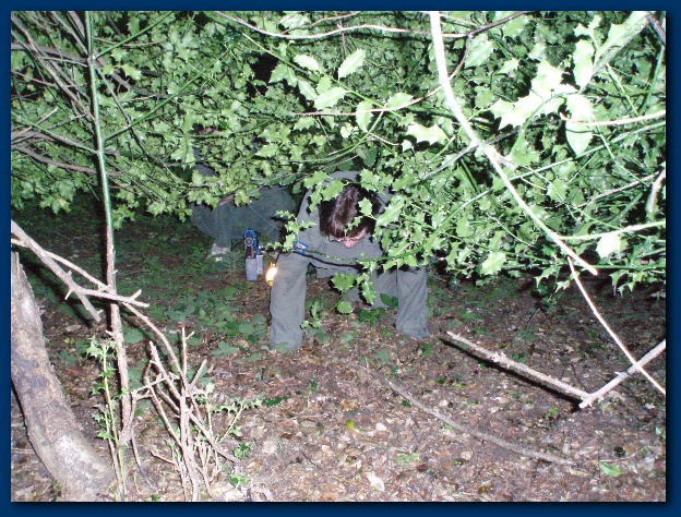 600x449 pixels (224K)